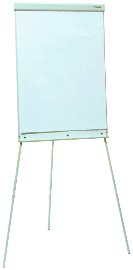 Plastic Containers for Food  Different Sizes