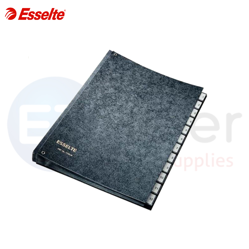 Esselte Organizer 1-12 (monthly), Available only in BLACK